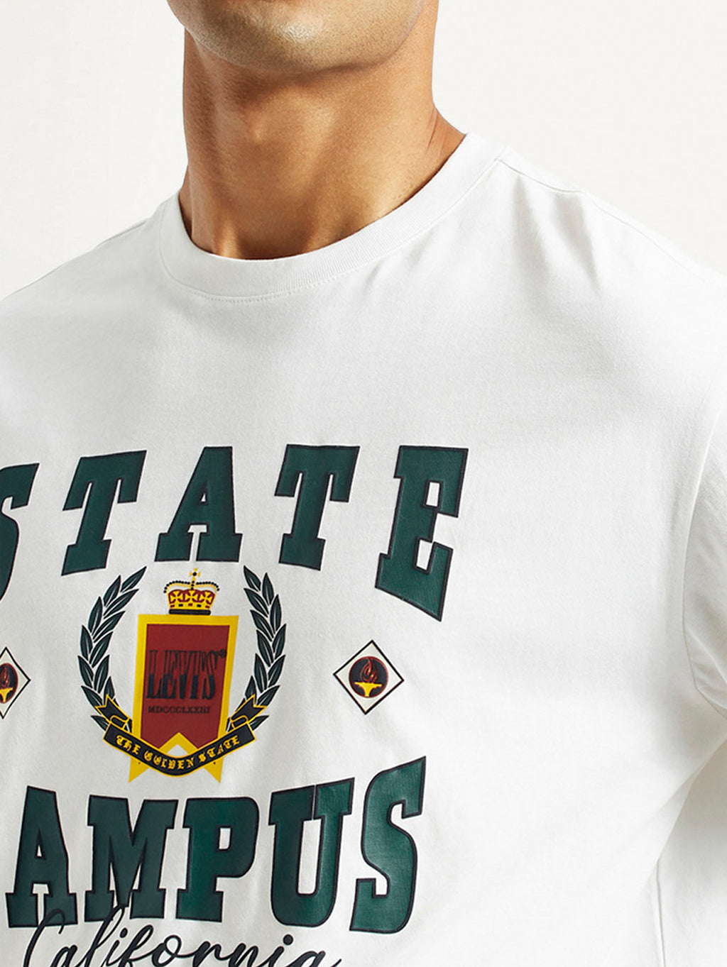 Men's Graphic Loose Fit T-Shirt