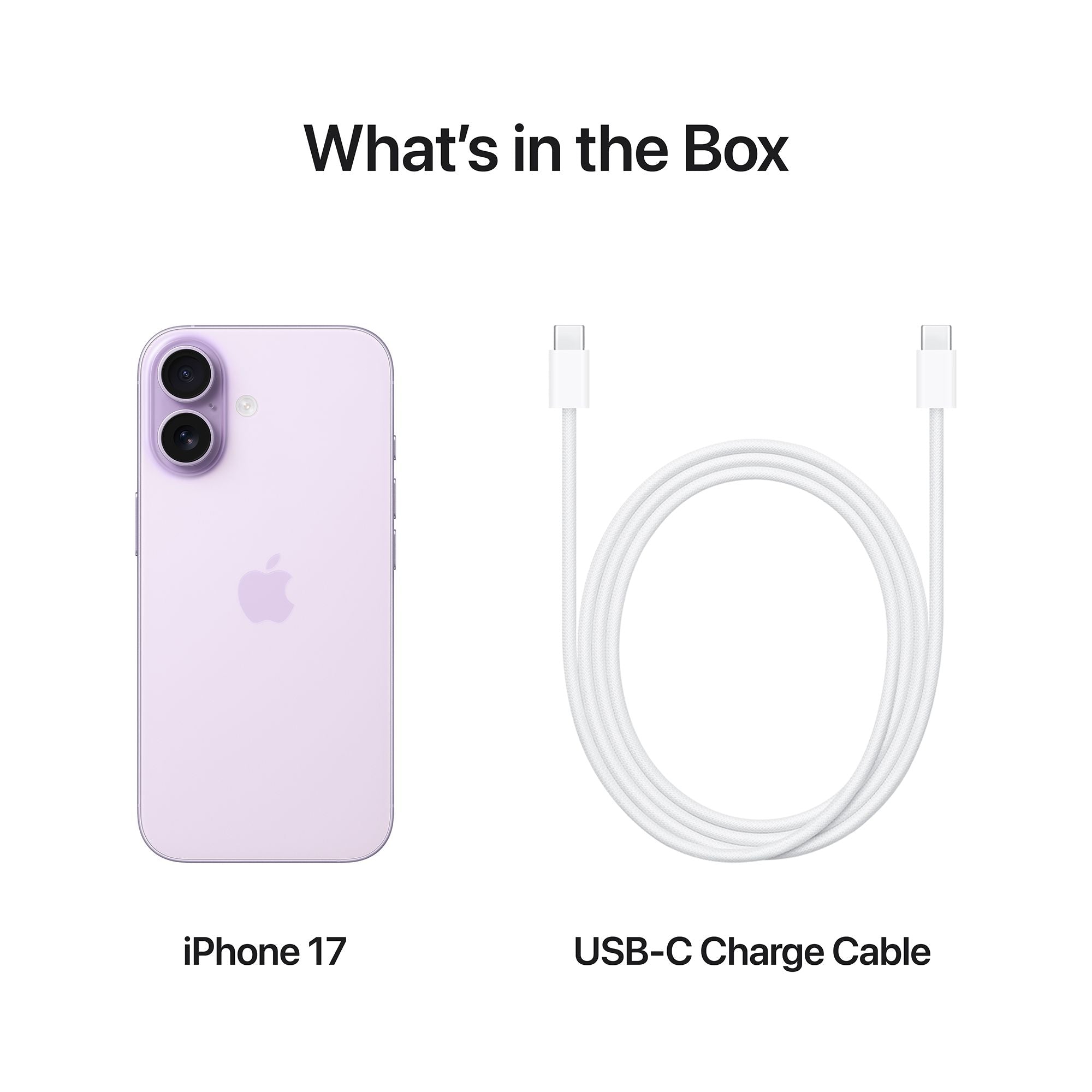 Apple iPhone 17 (256GB, Lavender)