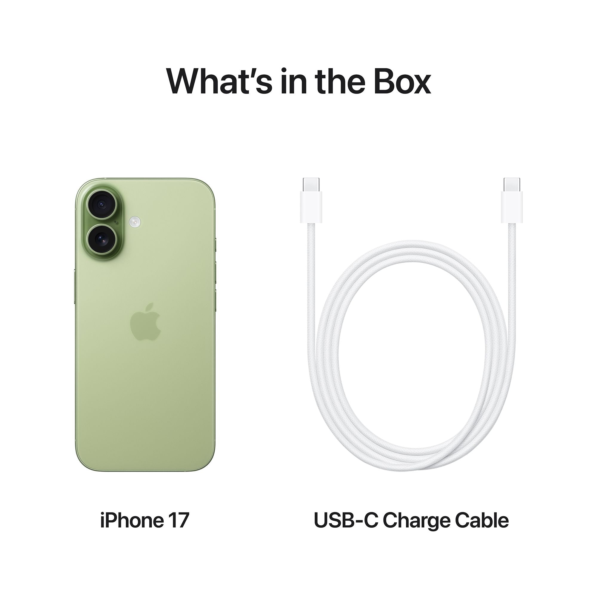 Apple iPhone 17 (256GB, Sage)