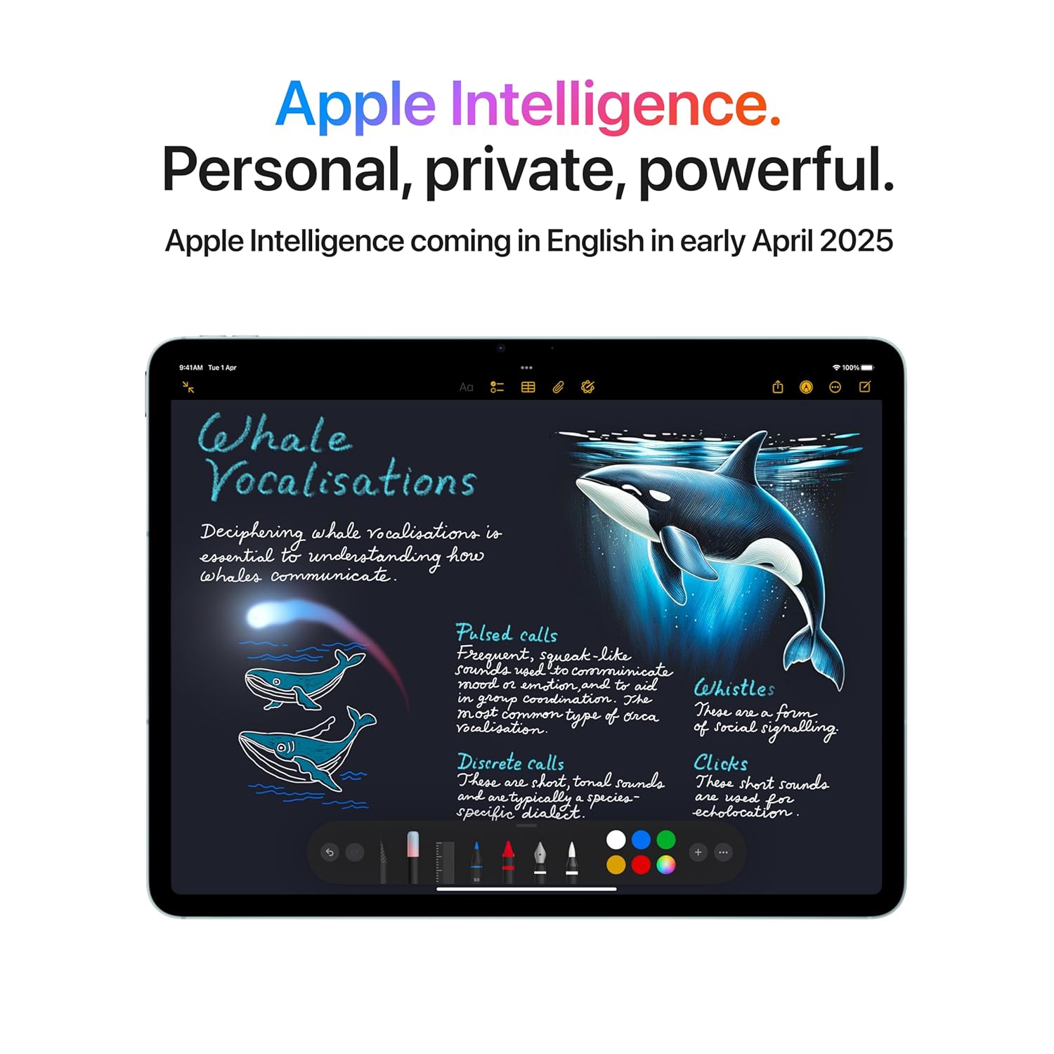 Apple iPad Air 13″ with M3 chip: Built for Apple Intelligence, Liquid Retina Display, 256GB, 12MP Front/Back Camera, Wi-Fi 6E + 5G Cellular, Touch ID, All-Day Battery Life — Starlight