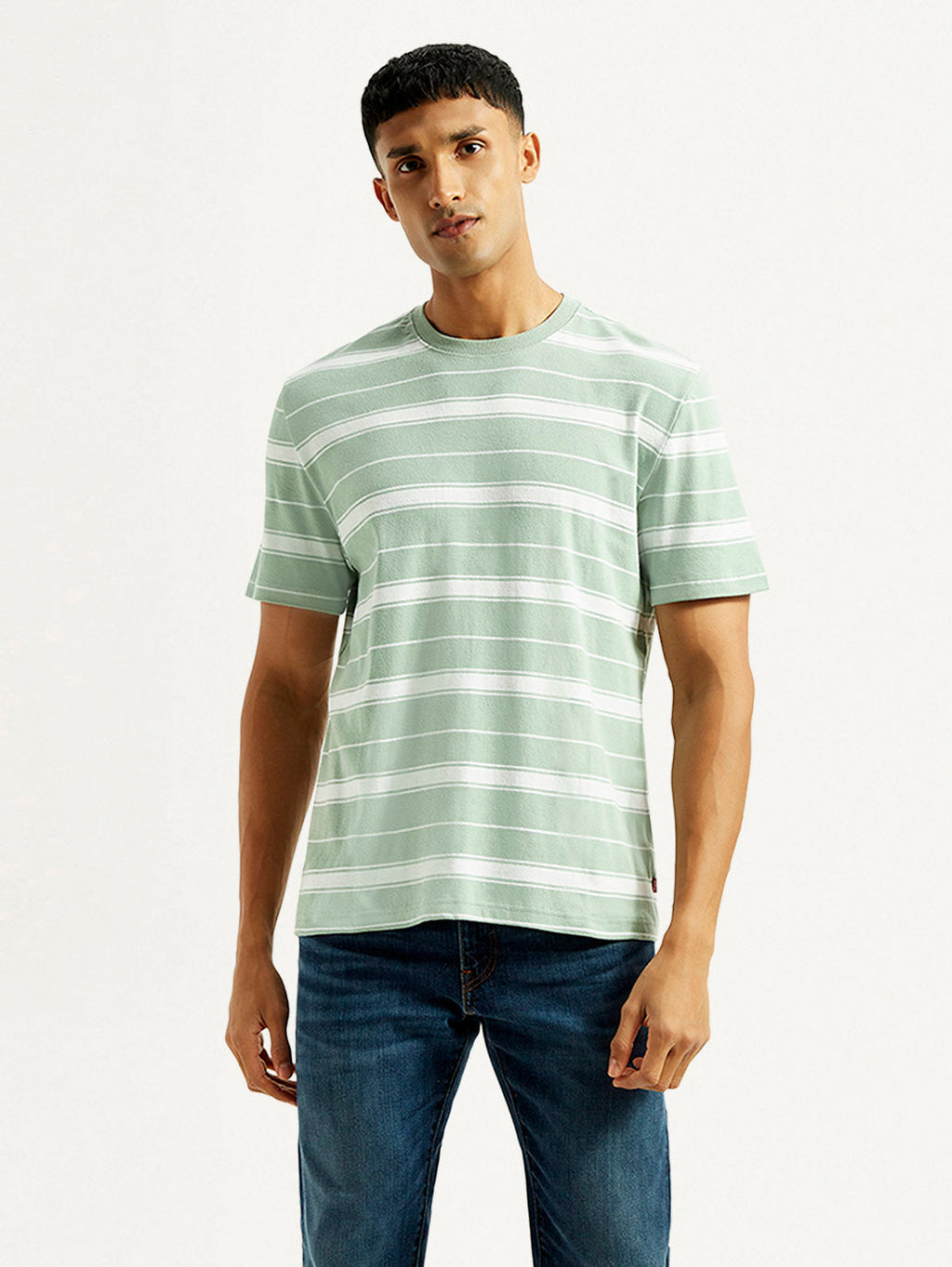 Men's Striped Light Green Crew Neck T-shirt