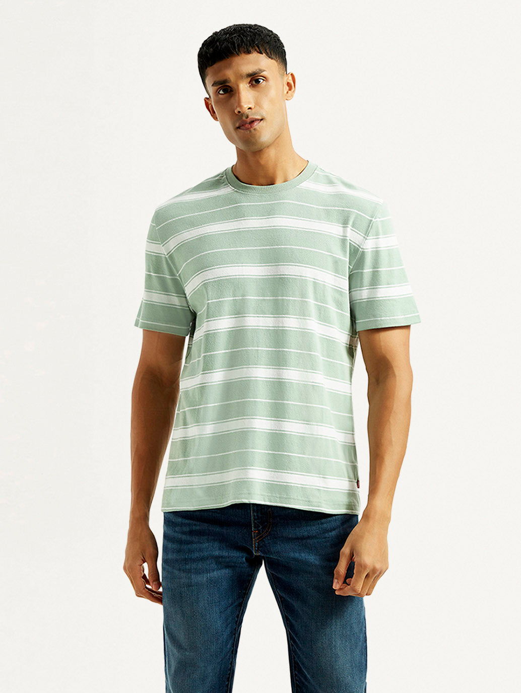 Men's Striped Light Green Crew Neck T-shirt