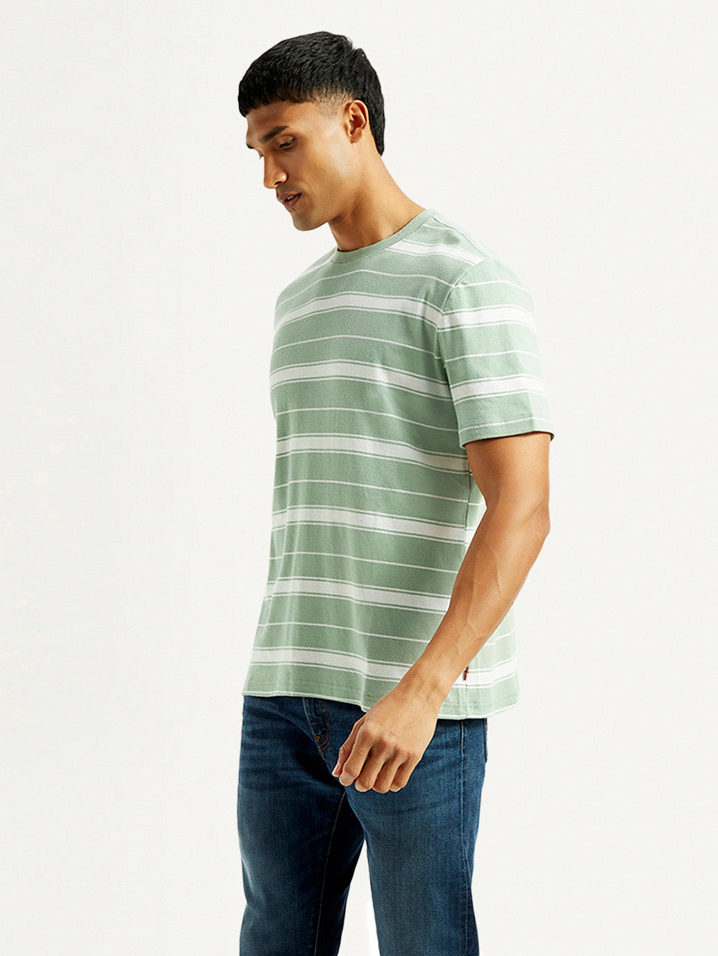 Men's Striped Light Green Crew Neck T-shirt