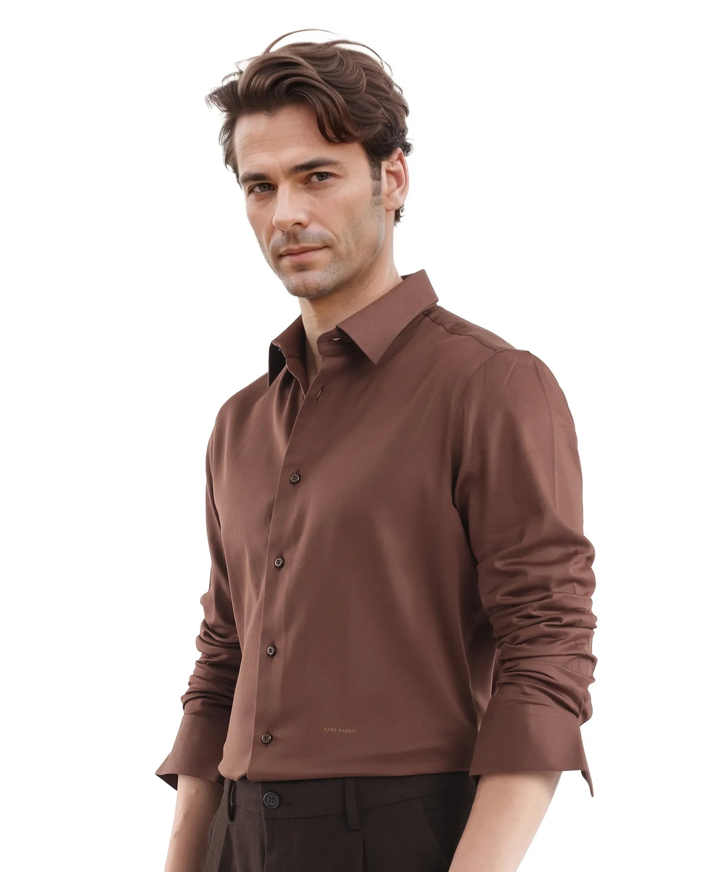 Rare Rabbit Men's Holla-25 Brown Cotton Blend Plain Regular Fit Full Sleeve Collared Shirt