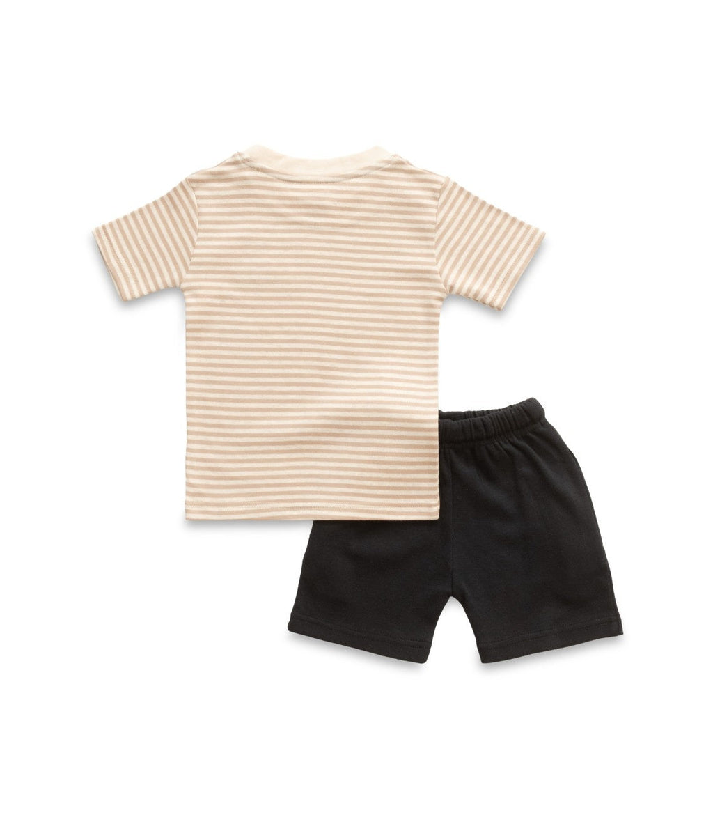 Brown Stripes & Squirrel Embroidered Kids Tshirt With Shorts