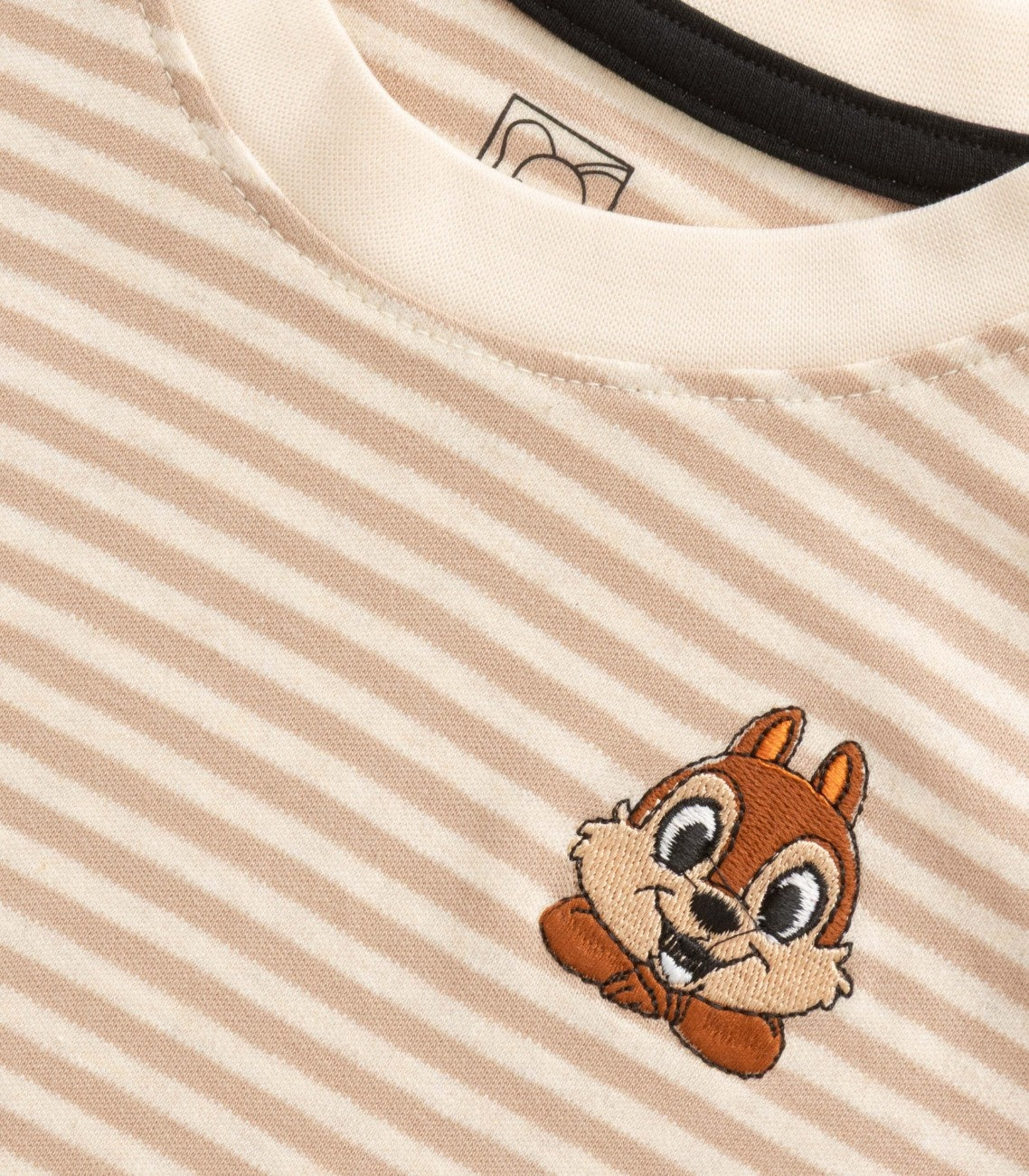 Brown Stripes & Squirrel Embroidered Kids Tshirt With Shorts