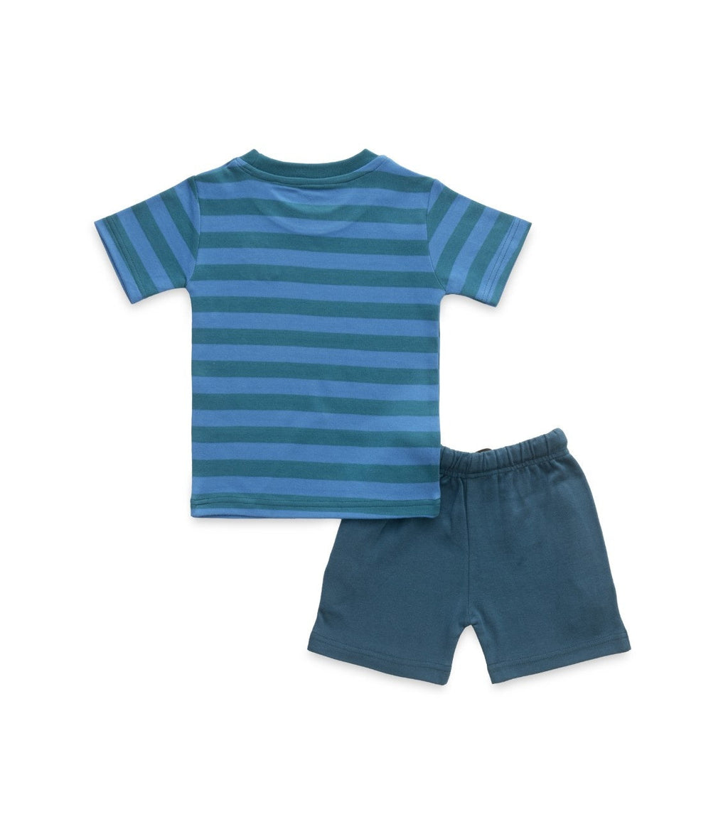 Royalblue Stripes & Skating Dog Embroidered Kids Tshirt With Shorts