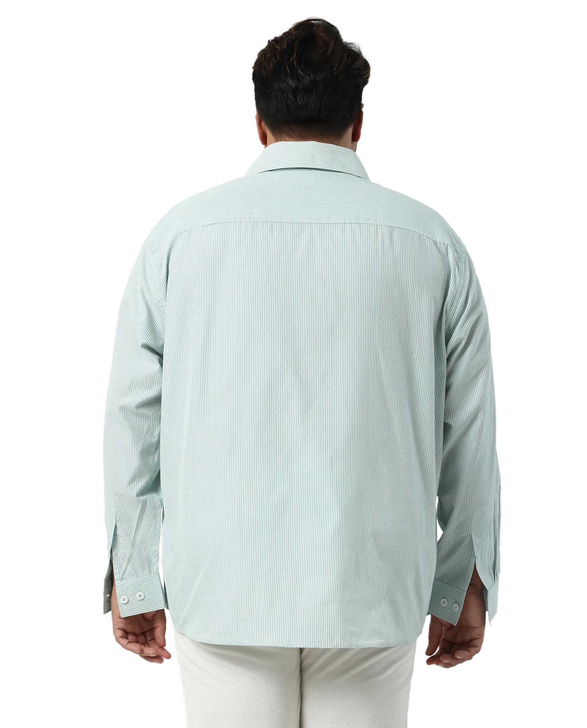 Rare Rabbit Men's Pluf Big Dusky Green Cotton Blend Fabric Full Sleeve Spread Collar Button Closure Regular Fit Striped Shirt