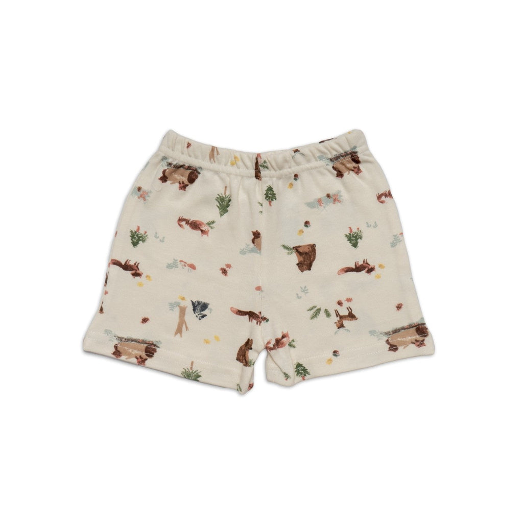 Bear Printed Baby Co-ord Set
