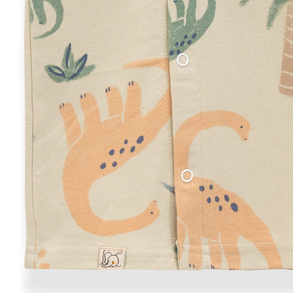 Dino Family Printed Baby Clothing Set
