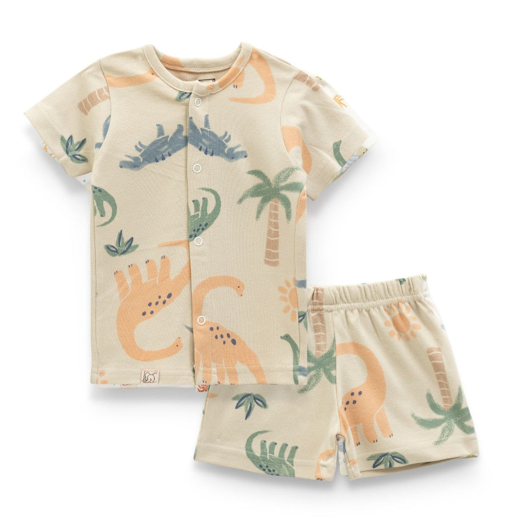 Dino Family Printed Baby Clothing Set