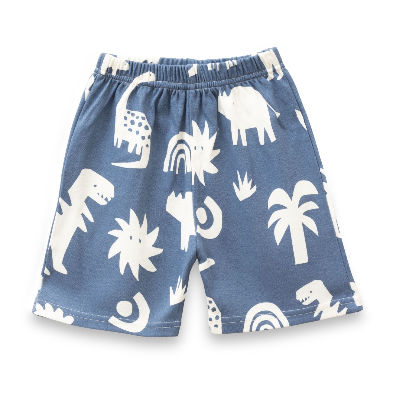 Dinosaur Silhoute Blue Kids Clothing Set