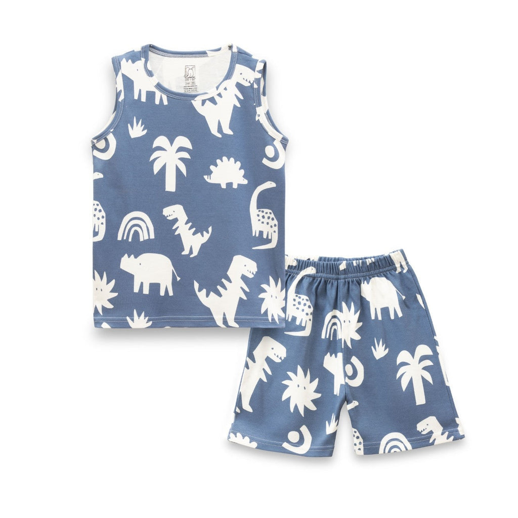 Dinosaur Silhoute Blue Kids Clothing Set