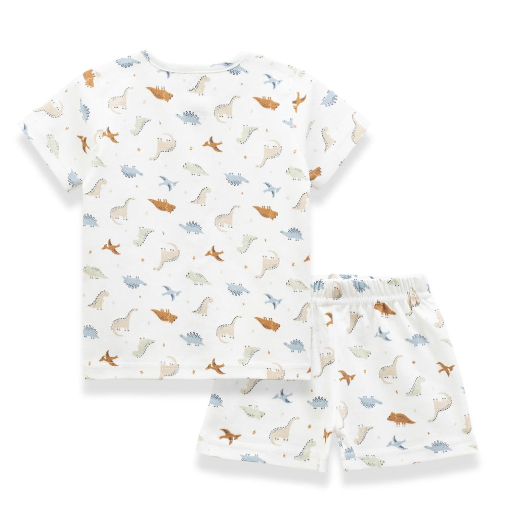 Little Dinosaurs Printed Baby Clothing Set