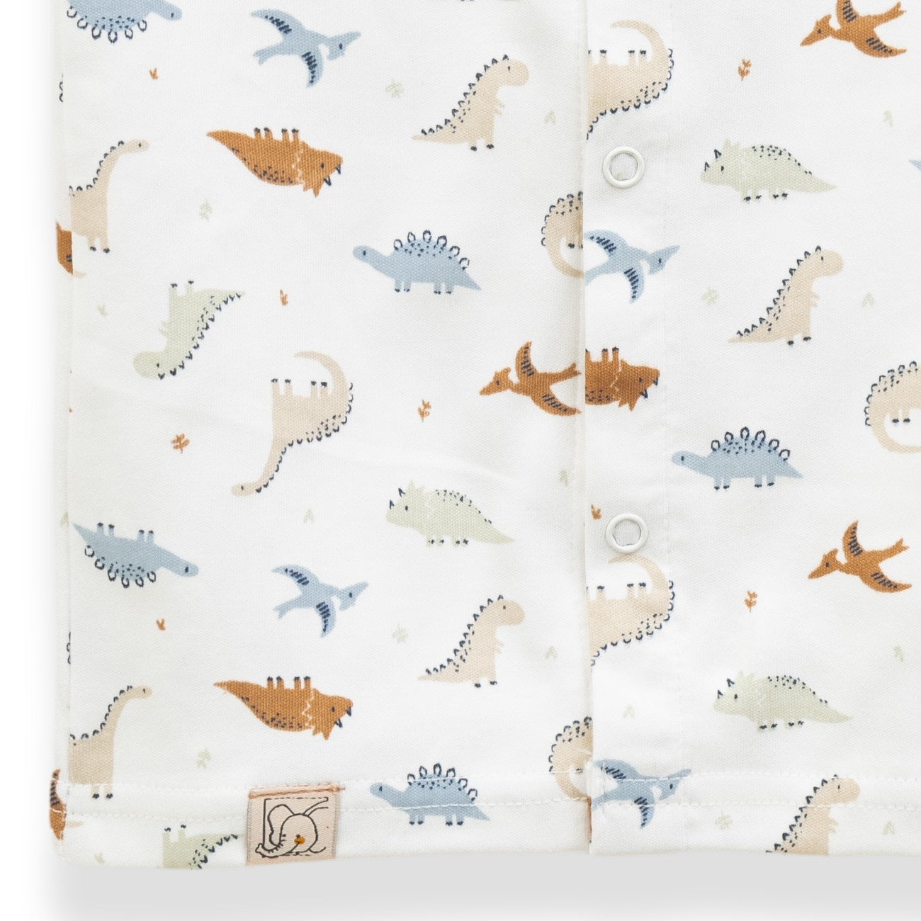 Little Dinosaurs Printed Baby Clothing Set