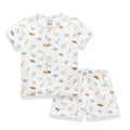 Little Dinosaurs Printed Baby Clothing Set