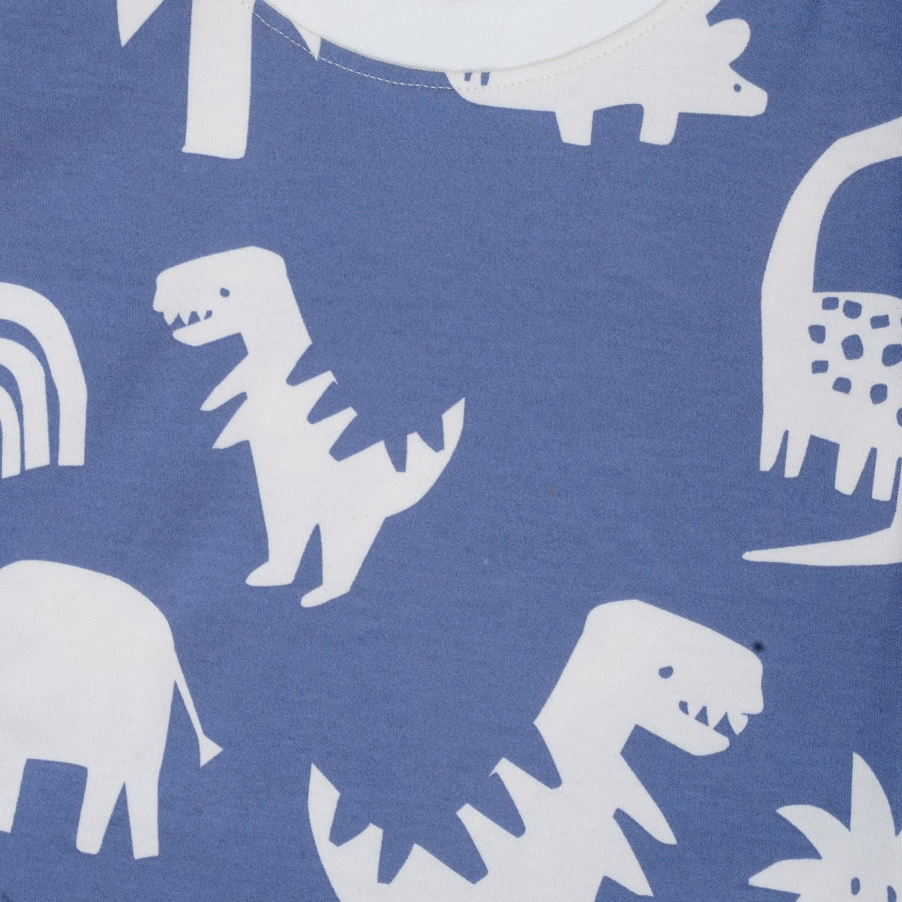 Dino Silhoutte Printed Kids Co-Ord Set