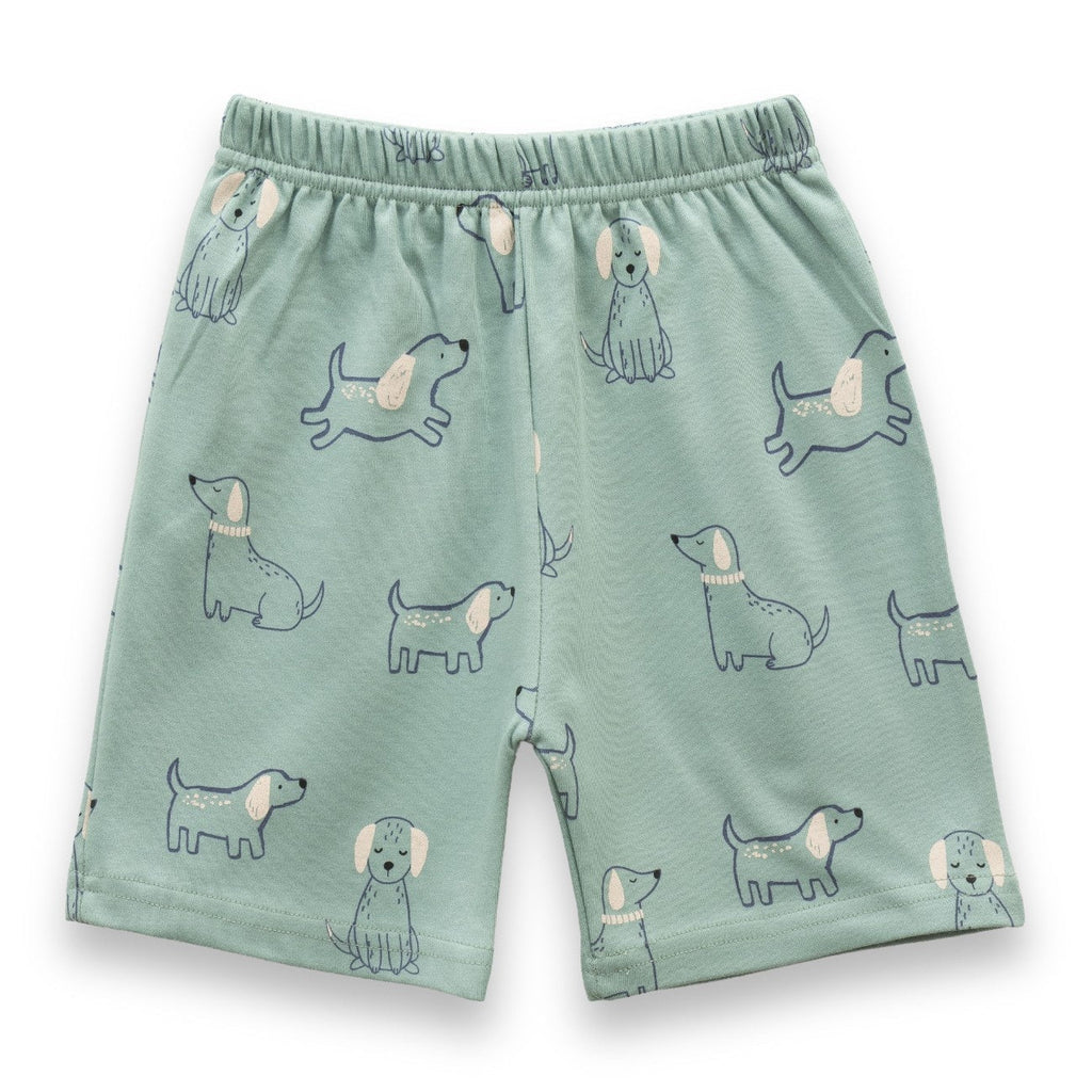 Cute Dogs Printed Green Kids Clothing Set