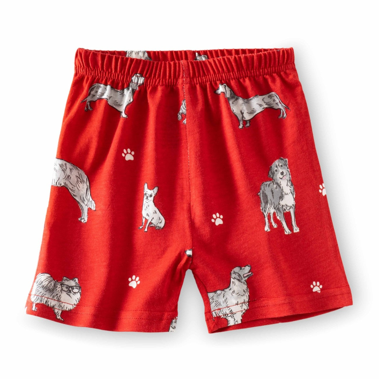 Dogs Family Printed Red Kids Co-Ord Set