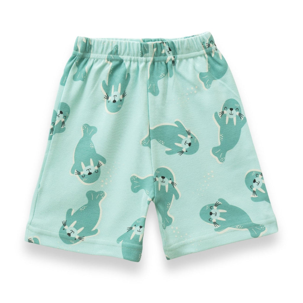 Sea Walrus Printed Green Kids Co-Ord Set