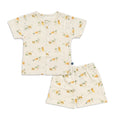 Lion and Tiger Printed Baby Co-ord Set